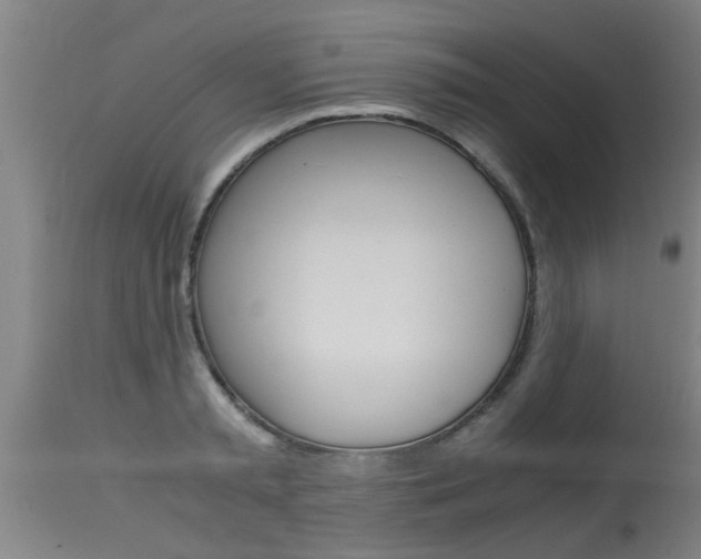 X0000115580797200911100953