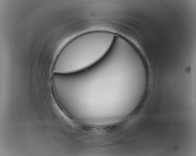 X0000115580799200911100953