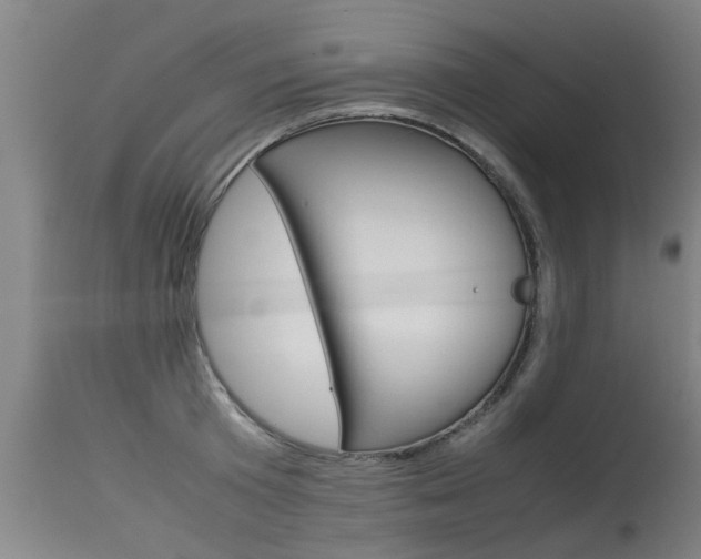 X0000115580801200911100953