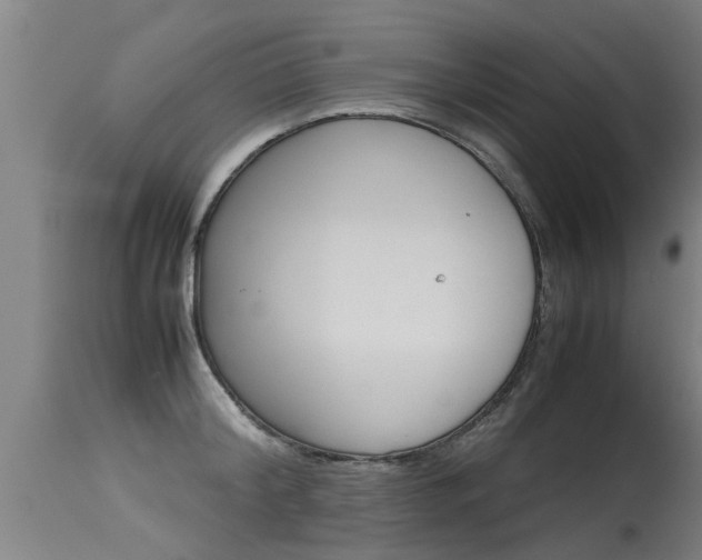 X0000115580804200911100953