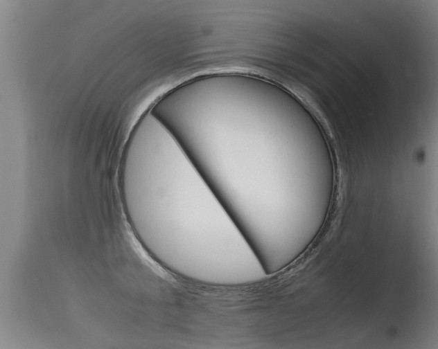 X0000115580805200911100953