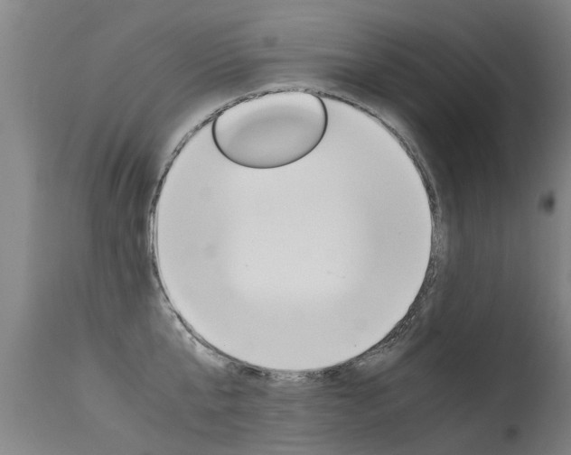 X0000115580807200911100953