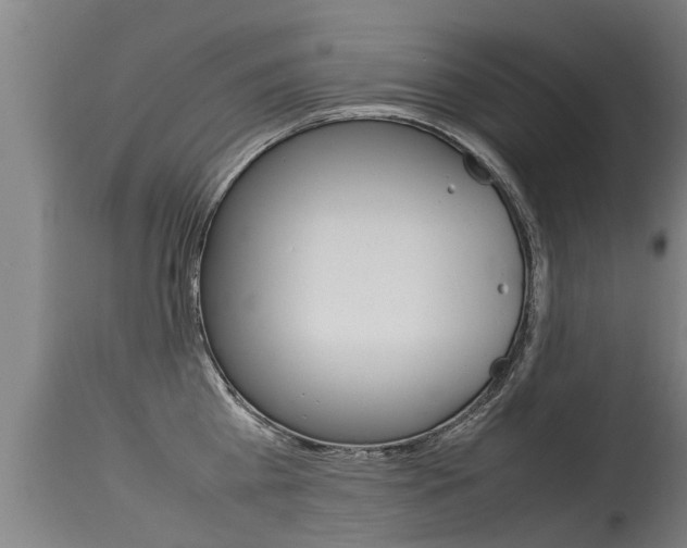 X0000115580809200911100952