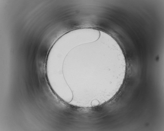 X0000115580810200911100952