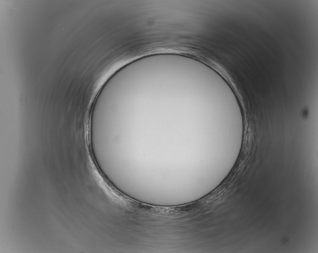 X0000115580811200911100952