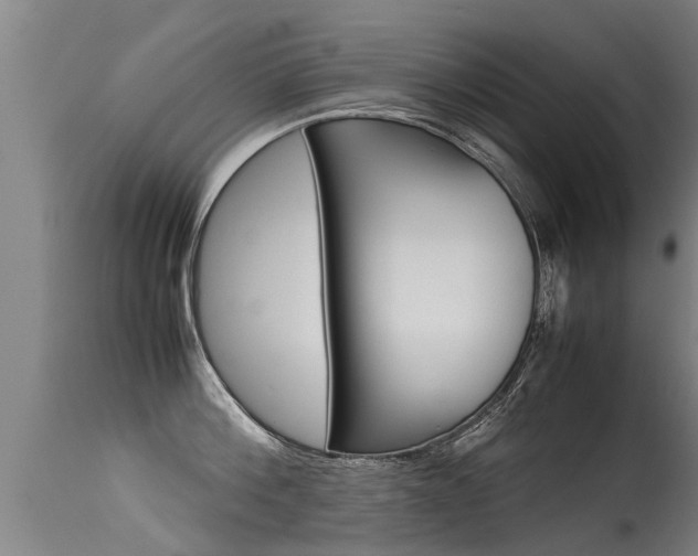 X0000115580812200911100952