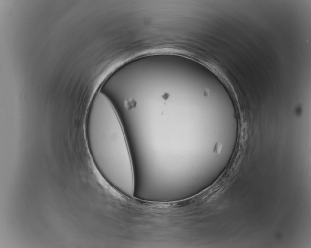 X0000115580813200911100952