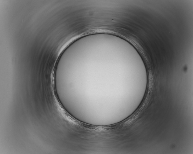 X0000115580814200911100952