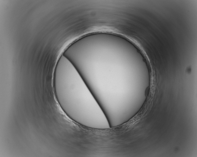 X0000115580815200911100952