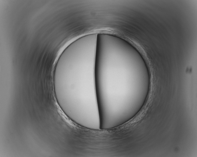 X0000115580816200911100952