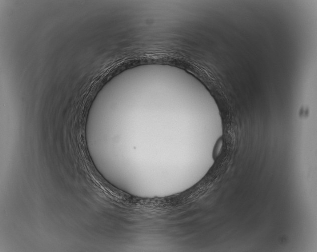 X0000115580817200911100952