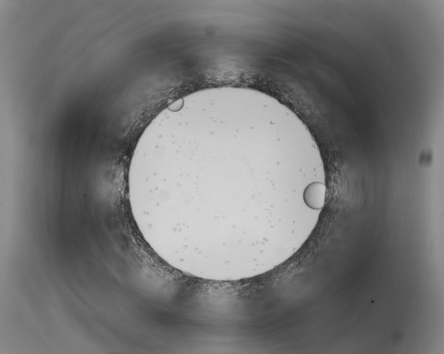 X0000115580820200911100952
