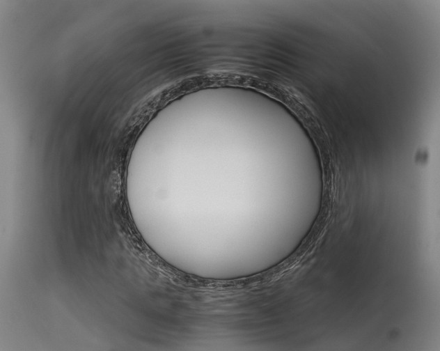 X0000115580821200911100952