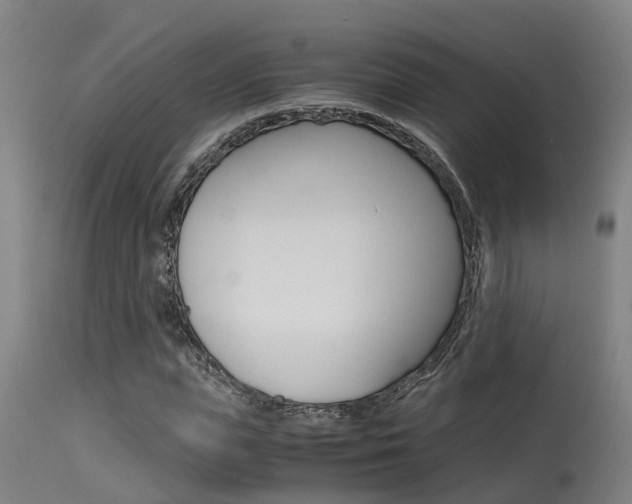 X0000115580823200911100952