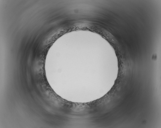 X0000115580824200911100952