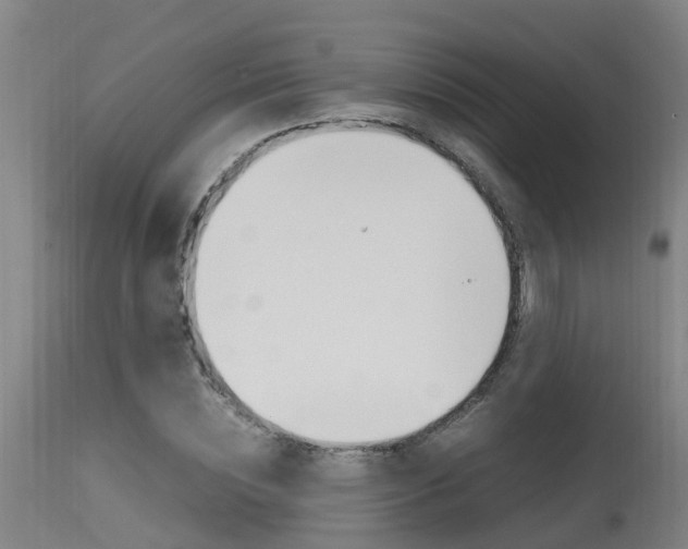 X0000115580828200911100952