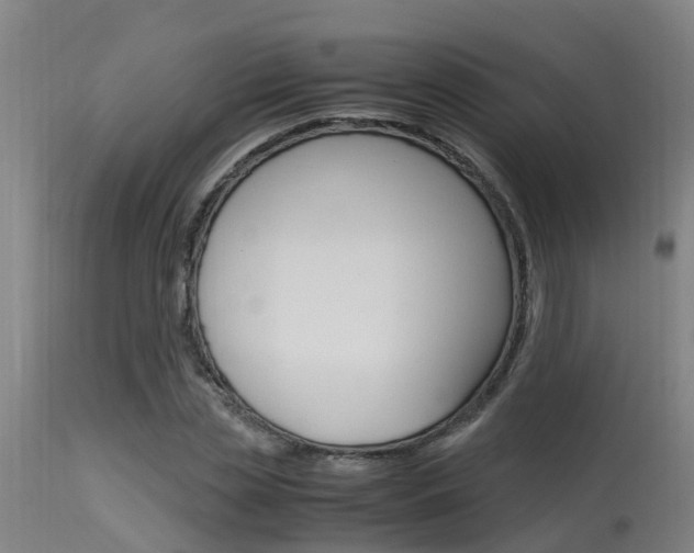 X0000115580829200911100952