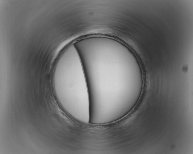 X0000115580830200911100952