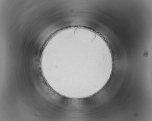 X0000115580832200911100952