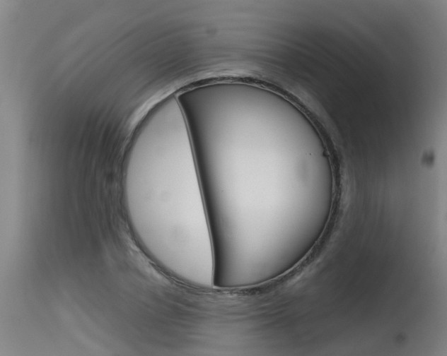 X0000115580834200911100952