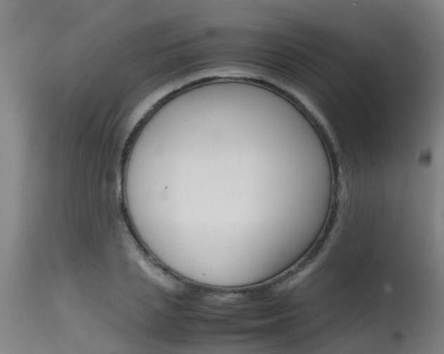 X0000115580837200911100952