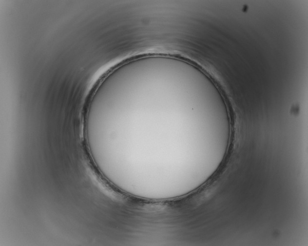 X0000115580838200911100952