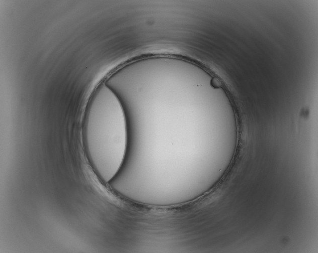 X0000115580840200911100952