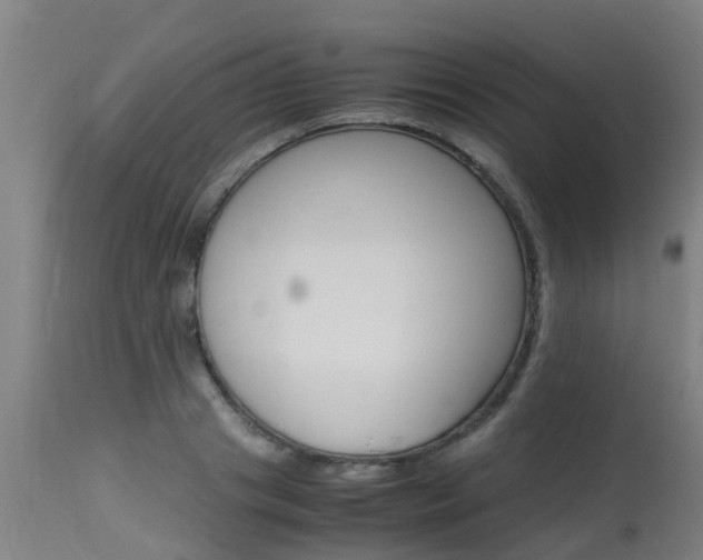 X0000115580841200911100952