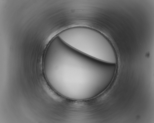 X0000115580842200911100952