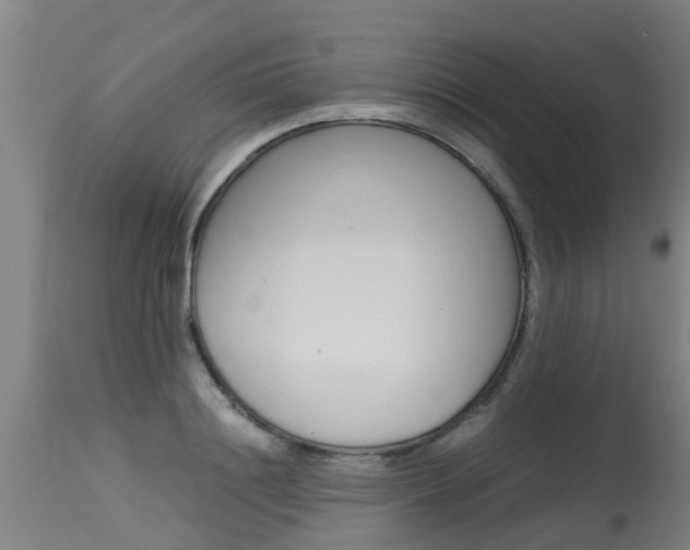 X0000115580844200911100952
