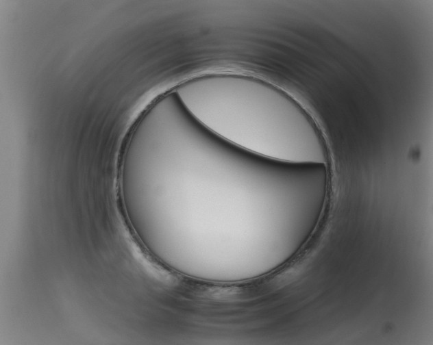 X0000115580845200911100952