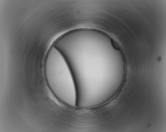 X0000115580846200911100952