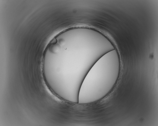 X0000115580847200911100952