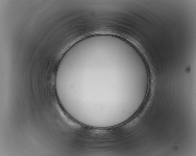 X0000115580849200911100952