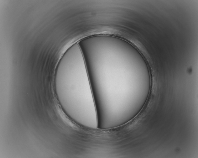 X0000115580850200911100952