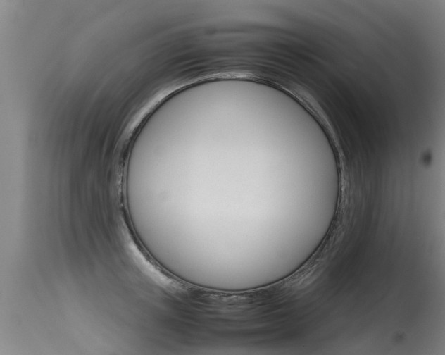X0000115580851200911100952