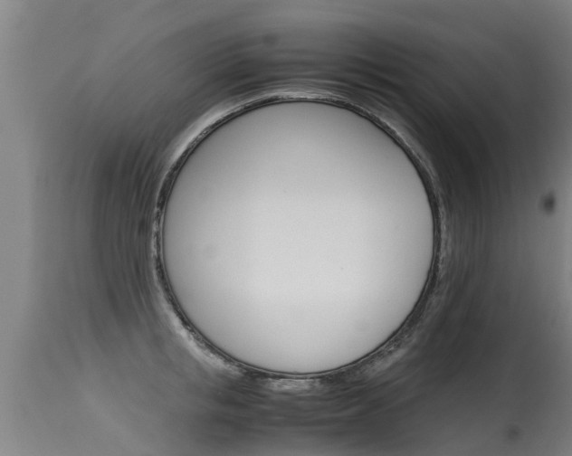 X0000115580853200911100952