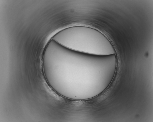 X0000115580854200911100952