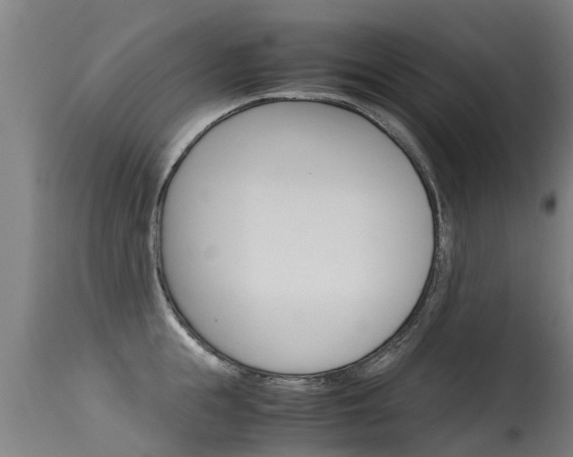 X0000115580855200911100952