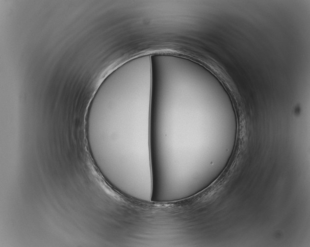 X0000115580858200911100952