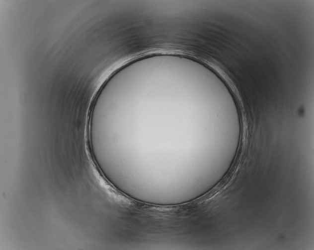 X0000115580861200911100952