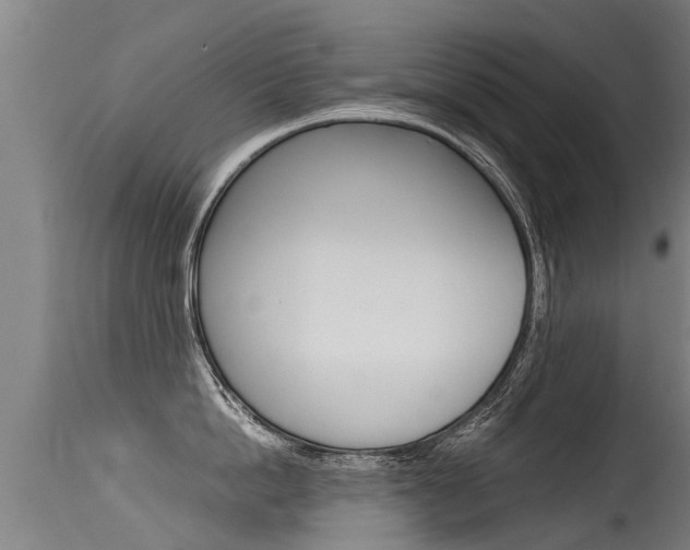 X0000115580862200911100952