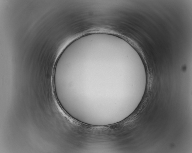 X0000115580863200911100952