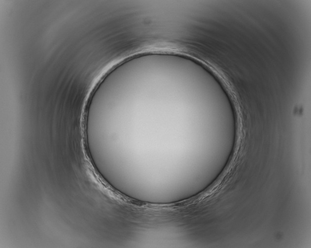 X0000115580864200911100952