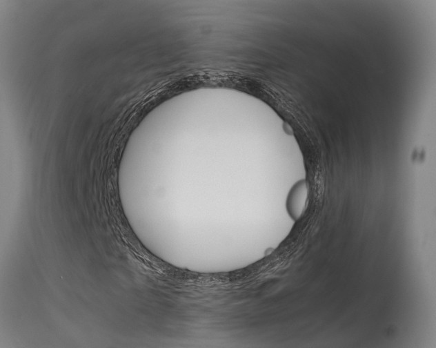X0000115580865200911100952