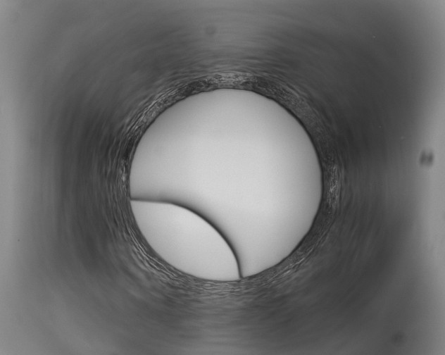 X0000115580866200911100952