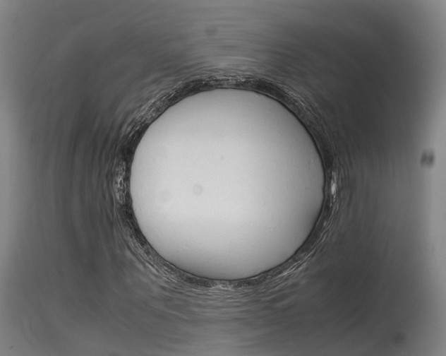 X0000115580867200911100952
