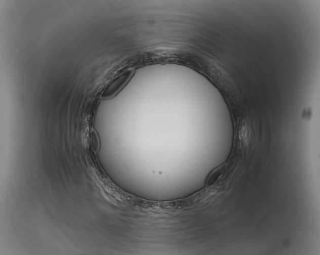 X0000115580868200911100952