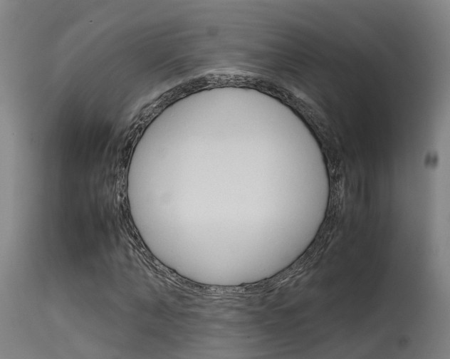 X0000115580870200911100951