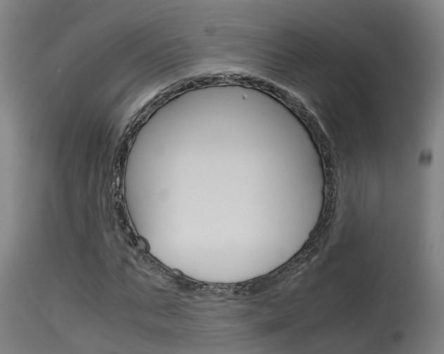 X0000115580871200911100951